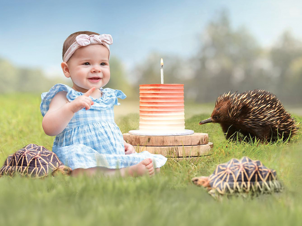 Grace Warrior's First Birthday Is Coming Up And You're Invited To Celebrate At Australia Zoo!