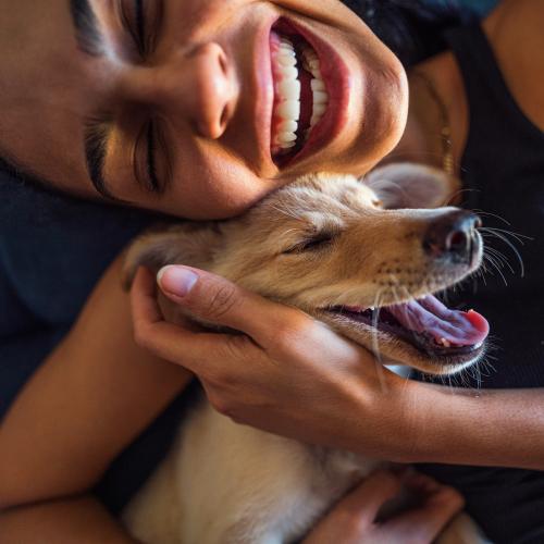 Studies Show People With Dogs Coped Better During Lockdown